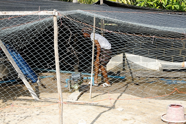 Famille et amis Mai 2011-090